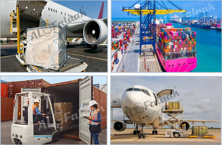 DGR Logistics Services